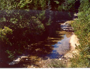 ozark-sylamore-creek-9-04.jpg